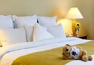 Varandas De Ferienpark 4*